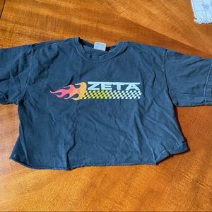 ZTA cropped racecar shirt